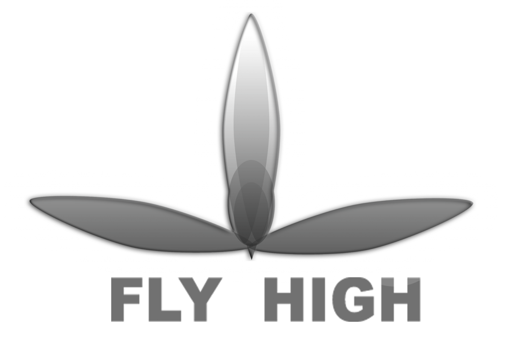 logo flyhigสีเทาเงา112