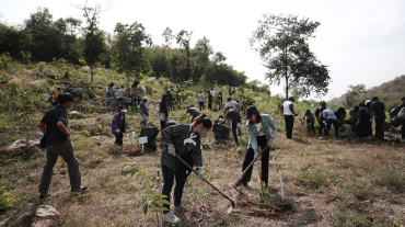 31562220_1660670300714494_8303106505490563072_o